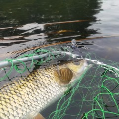 Подсачек для ловли в забродку SALMO 70х35х40см