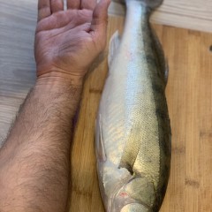 Удилище спиннинговое SALMO Sniper Ultra Spin 25 2.10